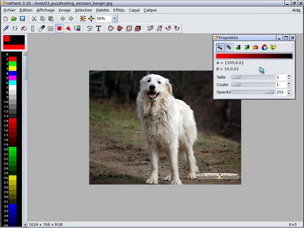 mtpaint01.jpg